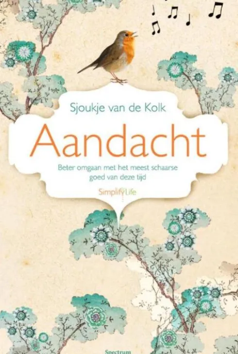 Aandacht eBook