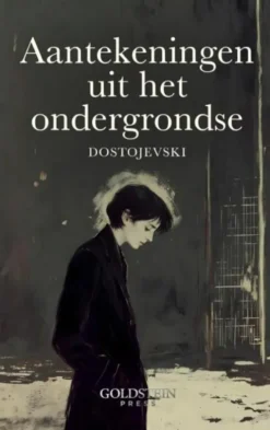 Aantekeningen uit het Ondergrondse eBook
