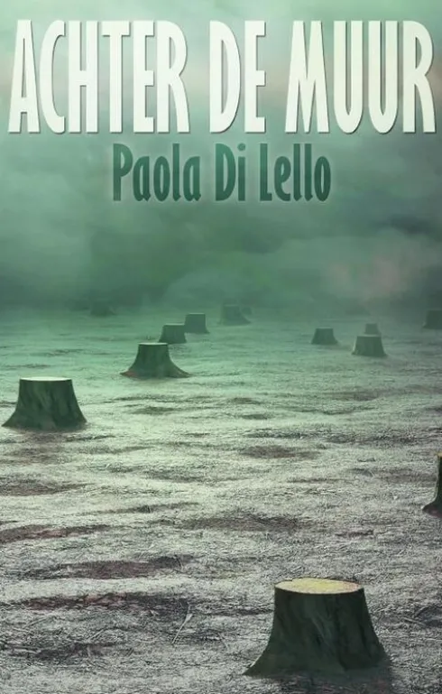 Achter de muur eBook