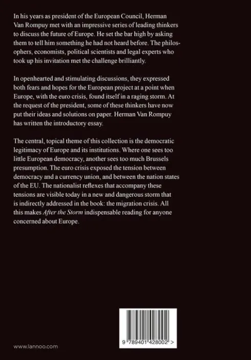 After the storm eBook