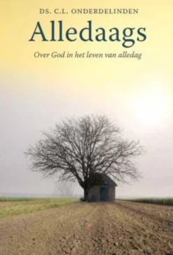 Alledaags eBook