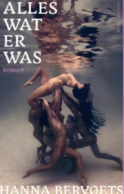 Alles wat er was eBook