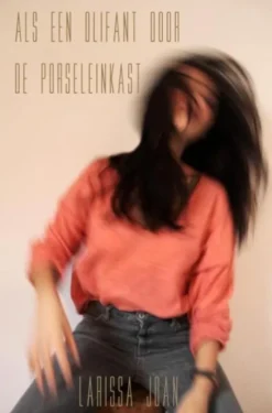 Als een olifant door de porseleinkast eBook