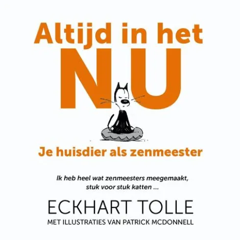 Altijd in het nu eBook