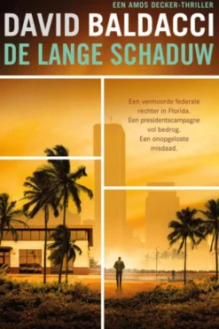 Amos Decker 7 - De lange schaduw eBook