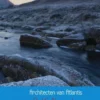 Architecten der beschaving eBook