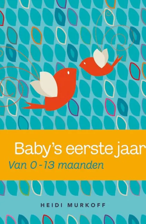 Baby's eerste jaar eBook