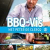 BBQ-Vis eBook