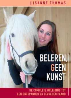 Beleren, geen kunst eBook