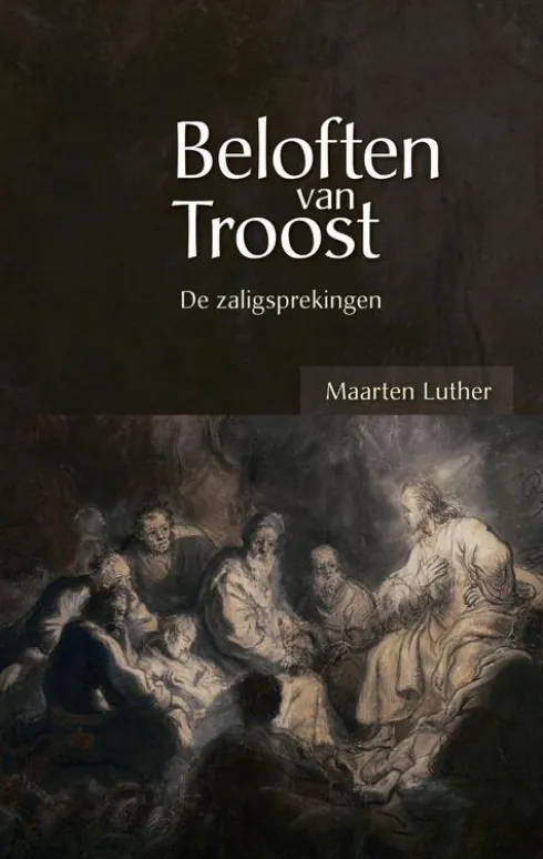 Beloften van troost eBook