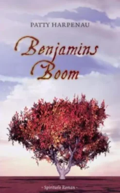 Benjamins boom eBook