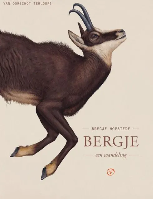 Bergje eBook