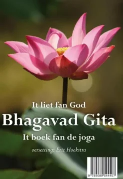 Bhagavad gita it liet fan God - het lied van God eBook