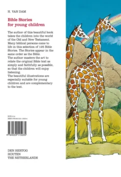 Bible Stories for young children eBook
