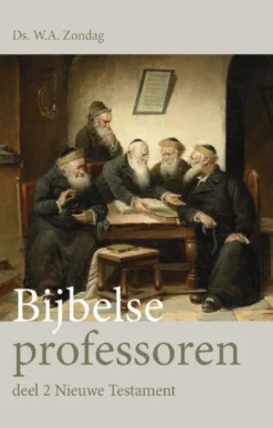 Bijbelse professoren eBook