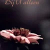 Bij U alleen eBook