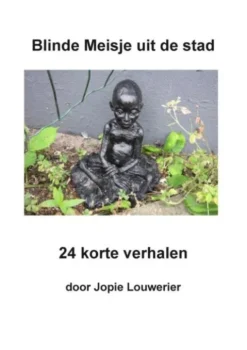 Blinde meisje uit de stad eBook