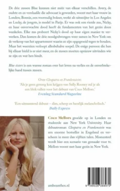 Blue sisters eBook