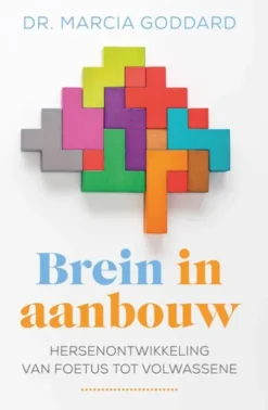 Brein in aanbouw eBook