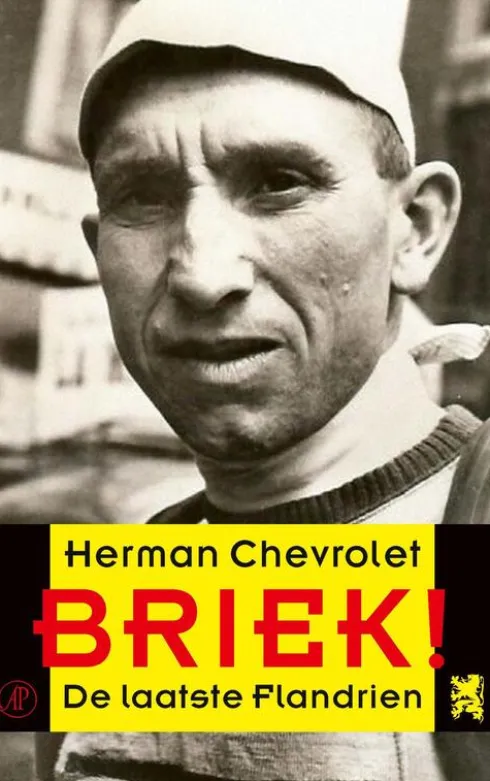 Briek! eBook
