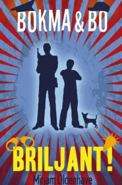 Briljant! eBook