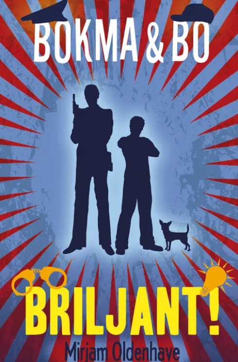 Briljant! eBook