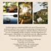 Buitengeluk over de grens eBook