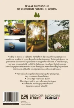 Buitengeluk over de grens eBook