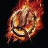 Catching Fire eBook