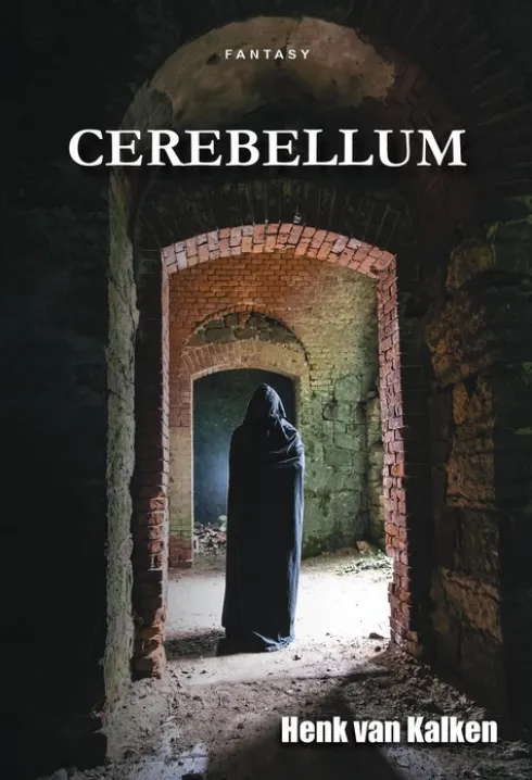 Cerebellum eBook