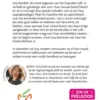 Cupcake Café 2 - Kerstmis in het Cupcake Café eBook