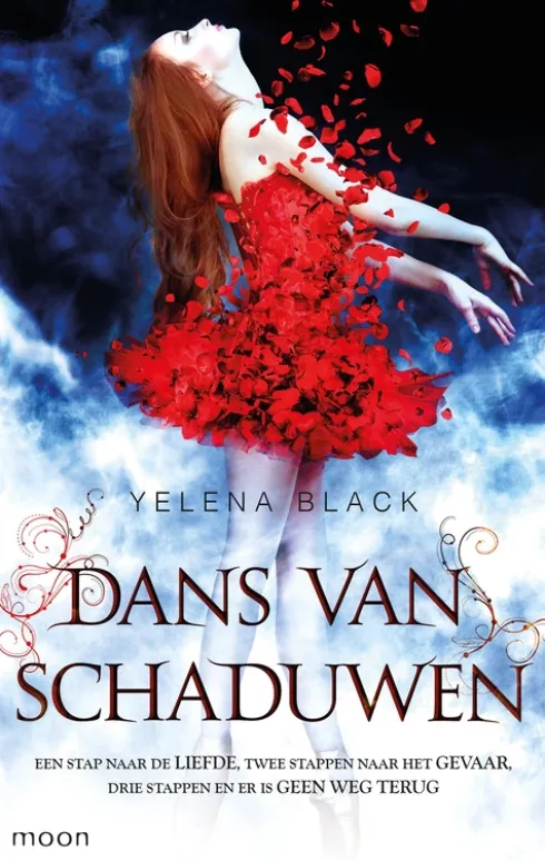 Dans van schaduwen eBook