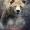 De beershifter eBook