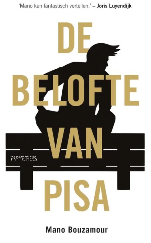 De belofte van Pisa eBook