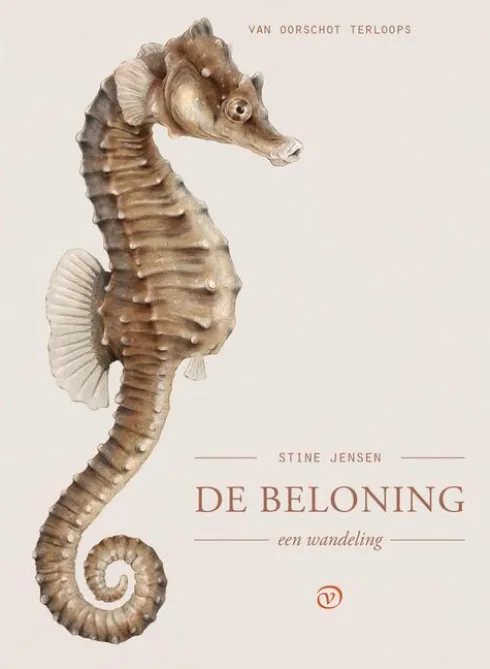 De beloning eBook