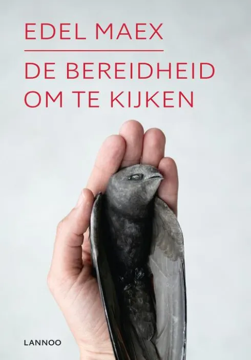 De bereidheid om te kijken eBook