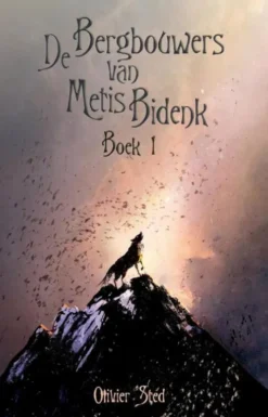 De Bergbouwers van Metis Bidenk eBook