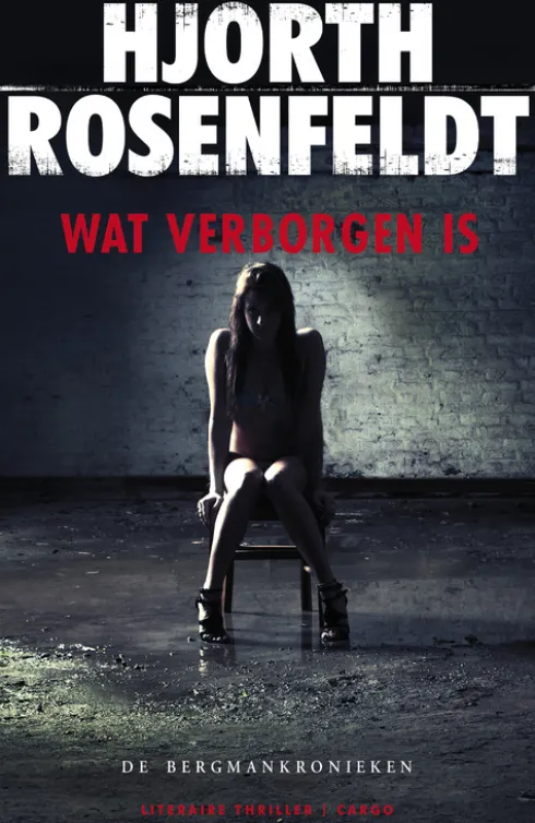 De Bergmankronieken 1 - Wat verborgen is eBook