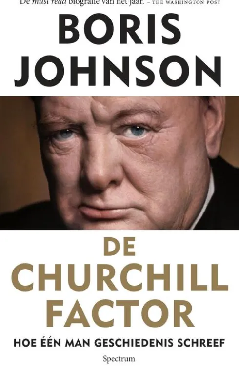 De Churchill factor eBook