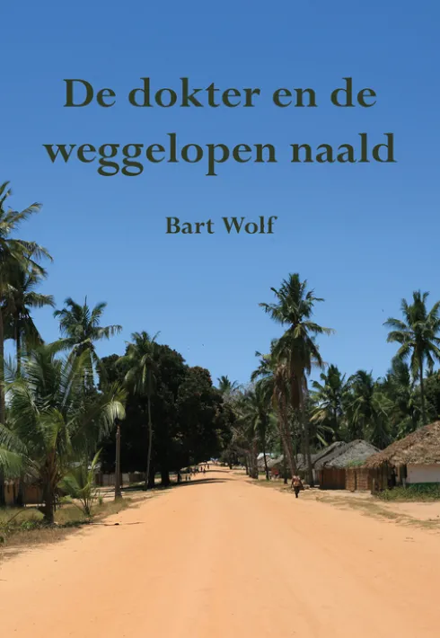 De dokter en de weggelopen naald eBook