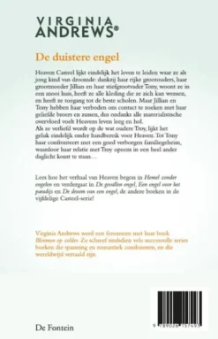 De duistere engel eBook
