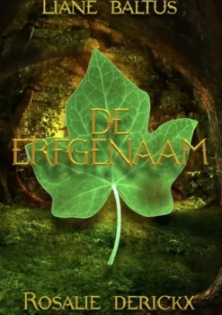 De erfgenaam eBook