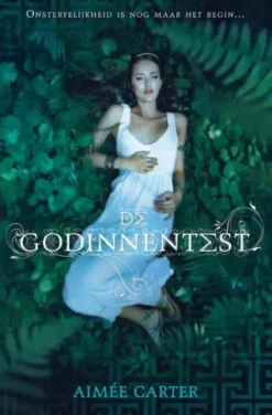 De godinnentest eBook