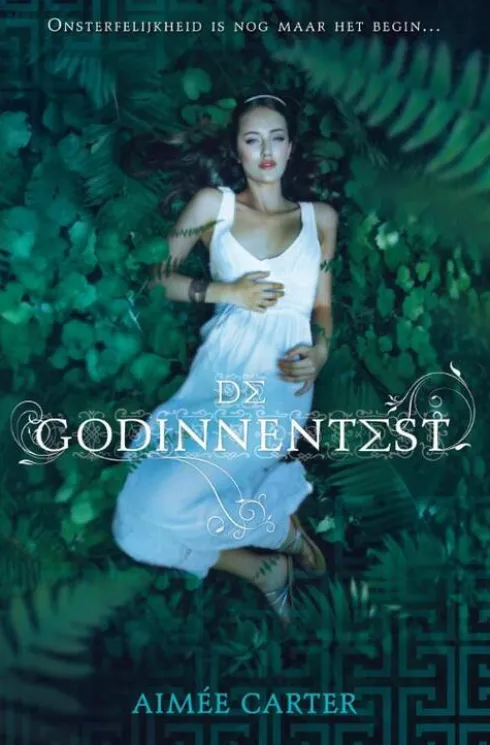 De godinnentest eBook