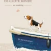 De grote ronde eBook