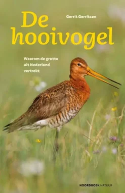 De hooivogel eBook