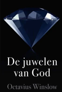 De juwelen van God eBook