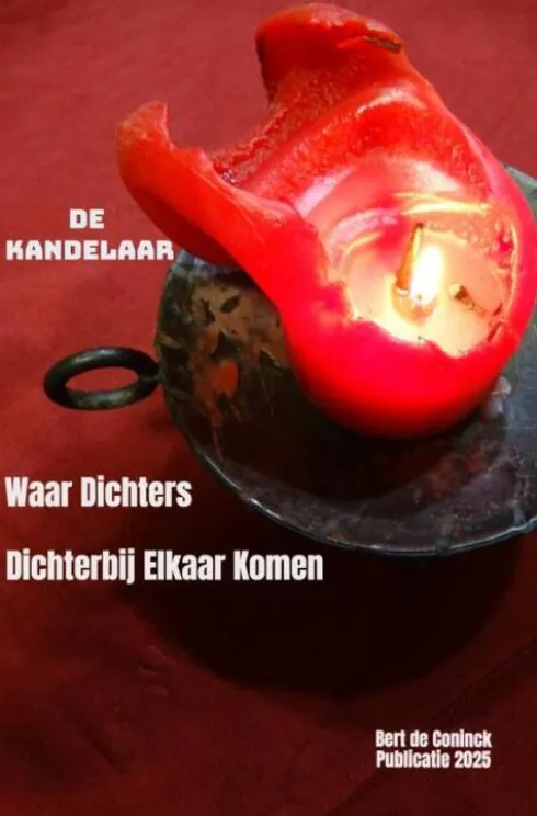 De kandelaar eBook