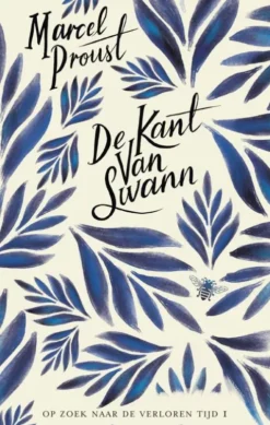 De kant van Swann eBook