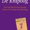 De knipoog eBook